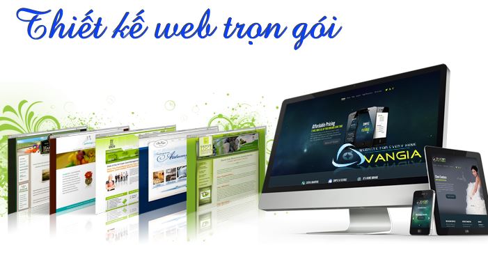 Thiết kế website trọn gói chi phí thấp tại Thanh Hoá